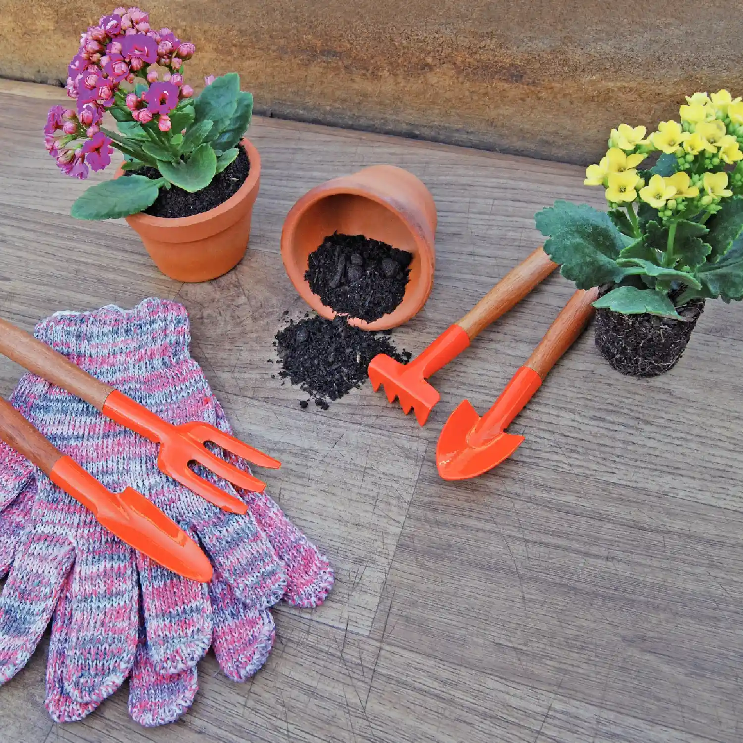 Conjunto para Jardinagem Tramontina